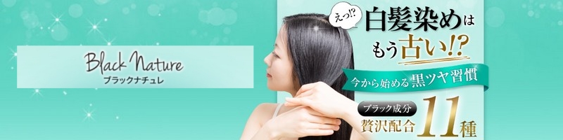 �u���b�N�i�`�������T�C�g